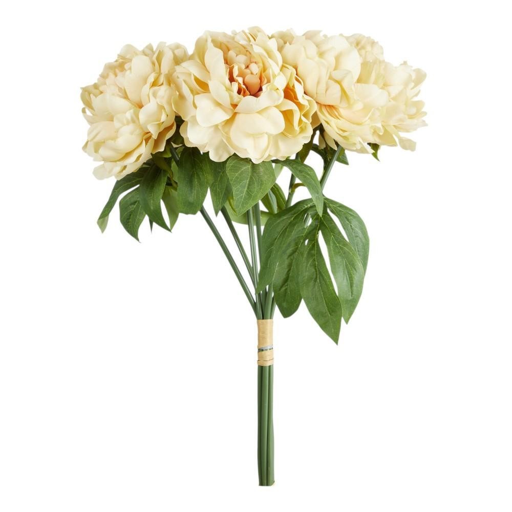 BUSH 6 PEONIE CM.46 BURRO